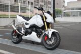 HONDA GROM HRC
