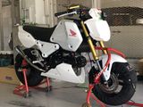 HONDA GROM HRC
