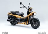 HONDA BIG RUCKUS PS250
