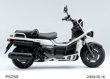 HONDA BIG RUCKUS PS250