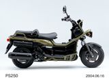 HONDA BIG RUCKUS PS250