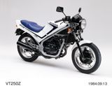 HONDA VT250F, VTZ250
