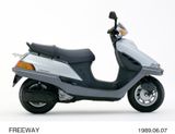 HONDA FREEWAY 250