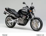 HONDA CB250F, HORNET 250