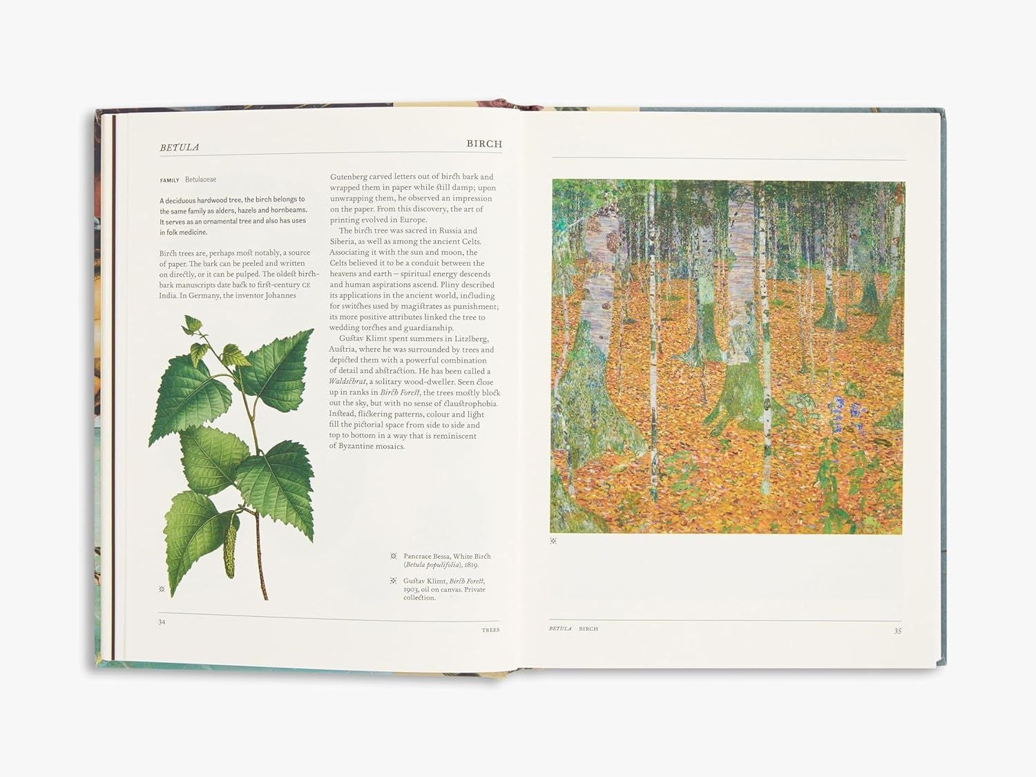  Thames Hudson The Secret Language of Plants Art, Nature Symbolism anglais. 