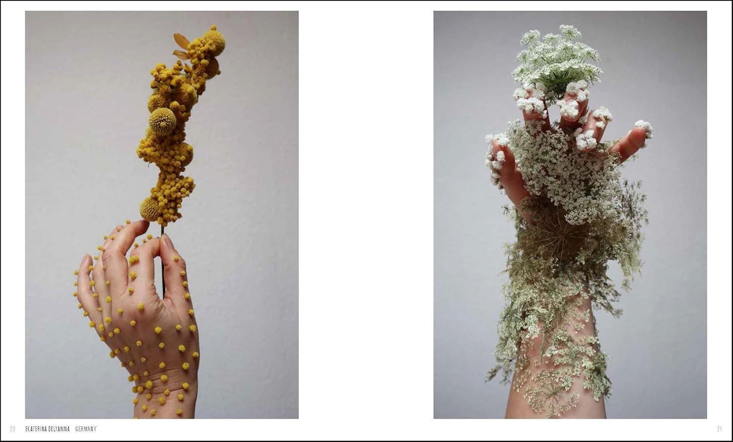  International Floral Art 2024-2025 