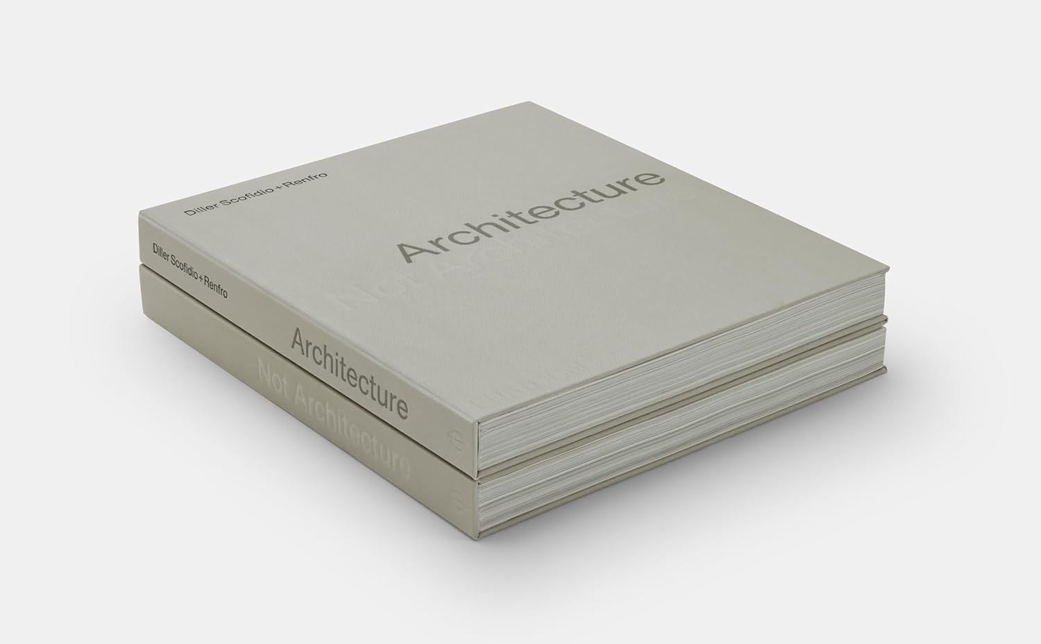  Architecture, Not Architecture: Diller Scofidio + Renfro 