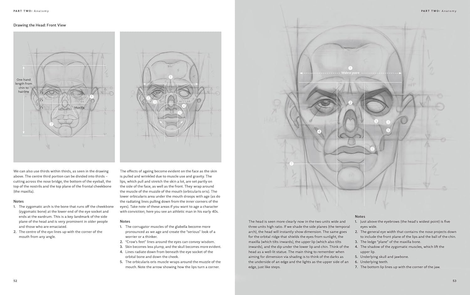  The Anatomy of Style: Figure Drawing Techniques (Patrick J. Jones) 
