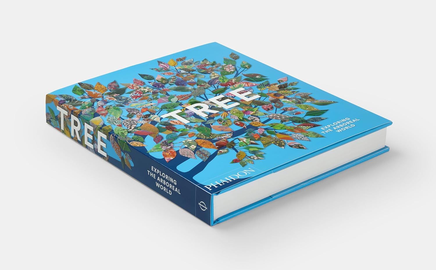  Tree: Exploring the Arboreal World 