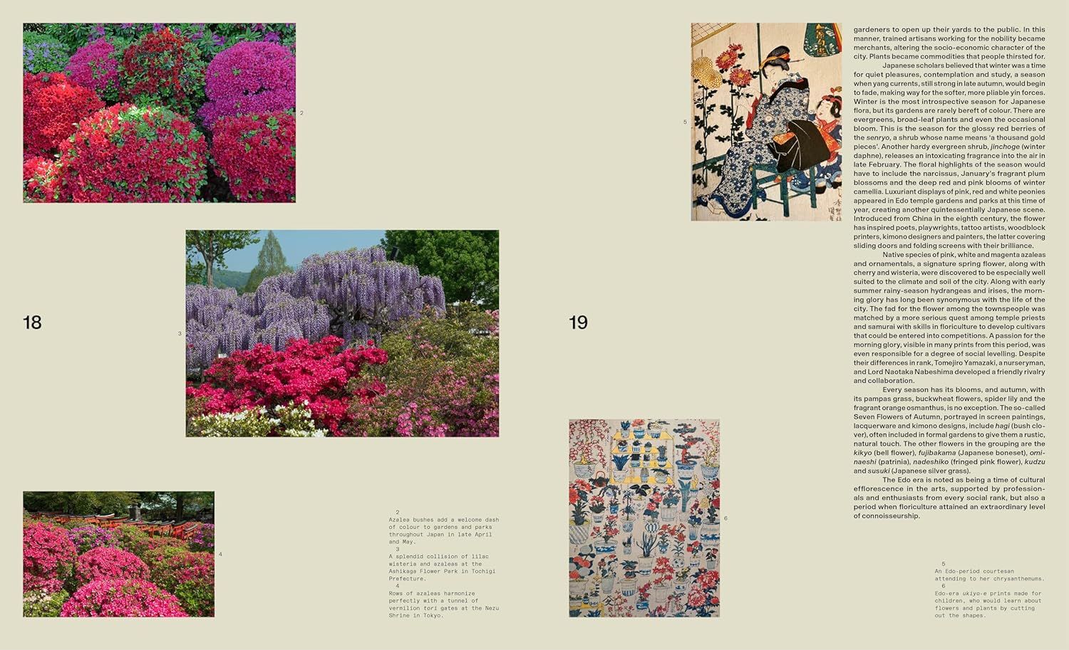  The Modern Japanese Garden 