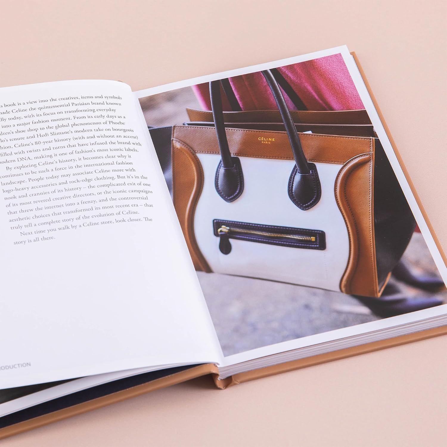  Little Book of Celine: The story of the iconic fashion house (Little Books of Fashion) 