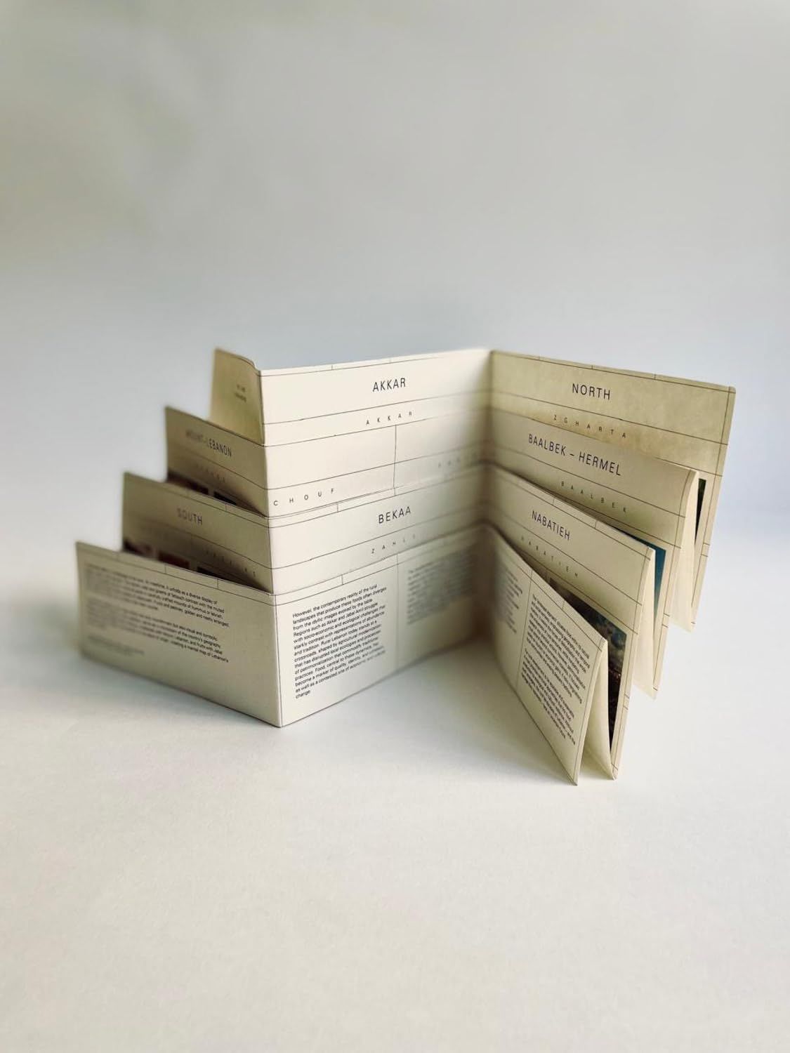  The Land Remembers: A Collective Exploration into the Possibilities for Regeneration 