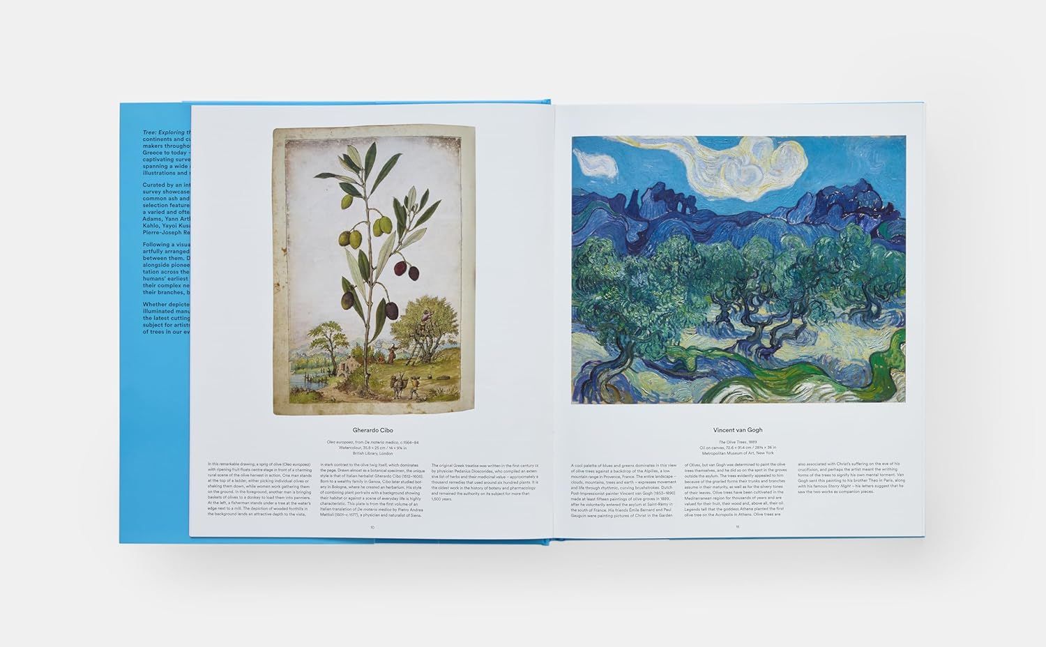  Tree: Exploring the Arboreal World 