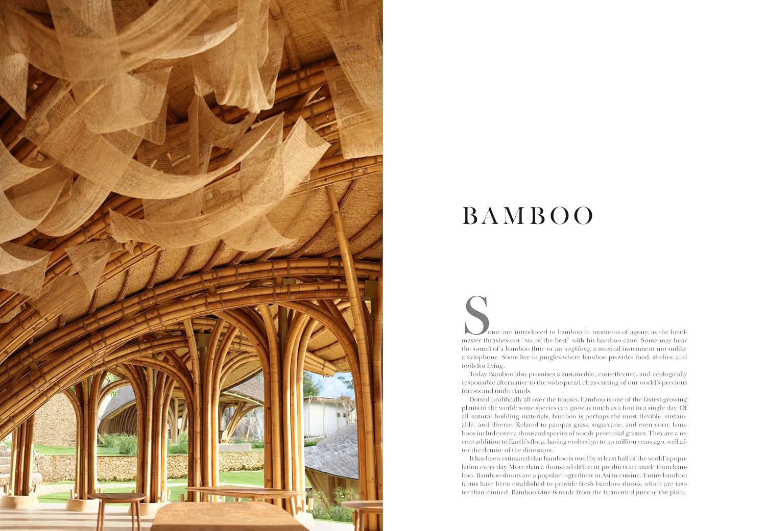 Bali: Sustainable Visions 