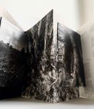  The Land Remembers: A Collective Exploration into the Possibilities for Regeneration 