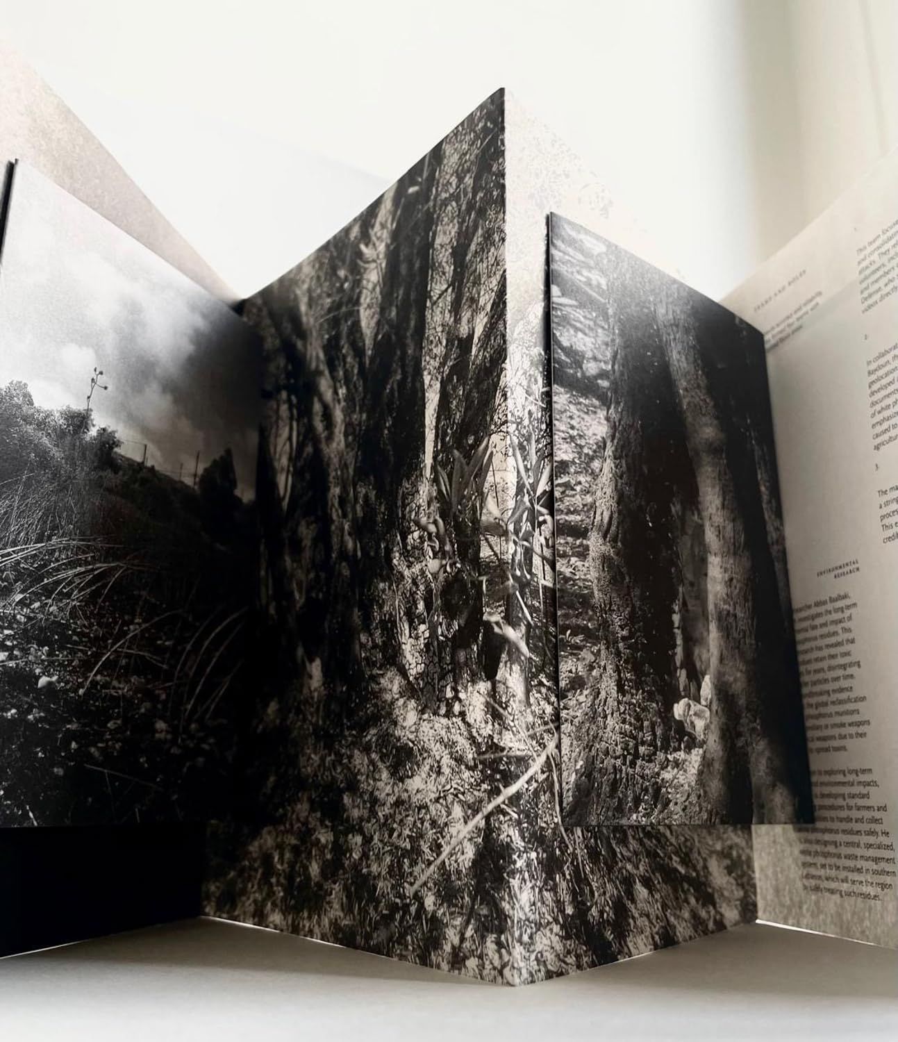  The Land Remembers: A Collective Exploration into the Possibilities for Regeneration 