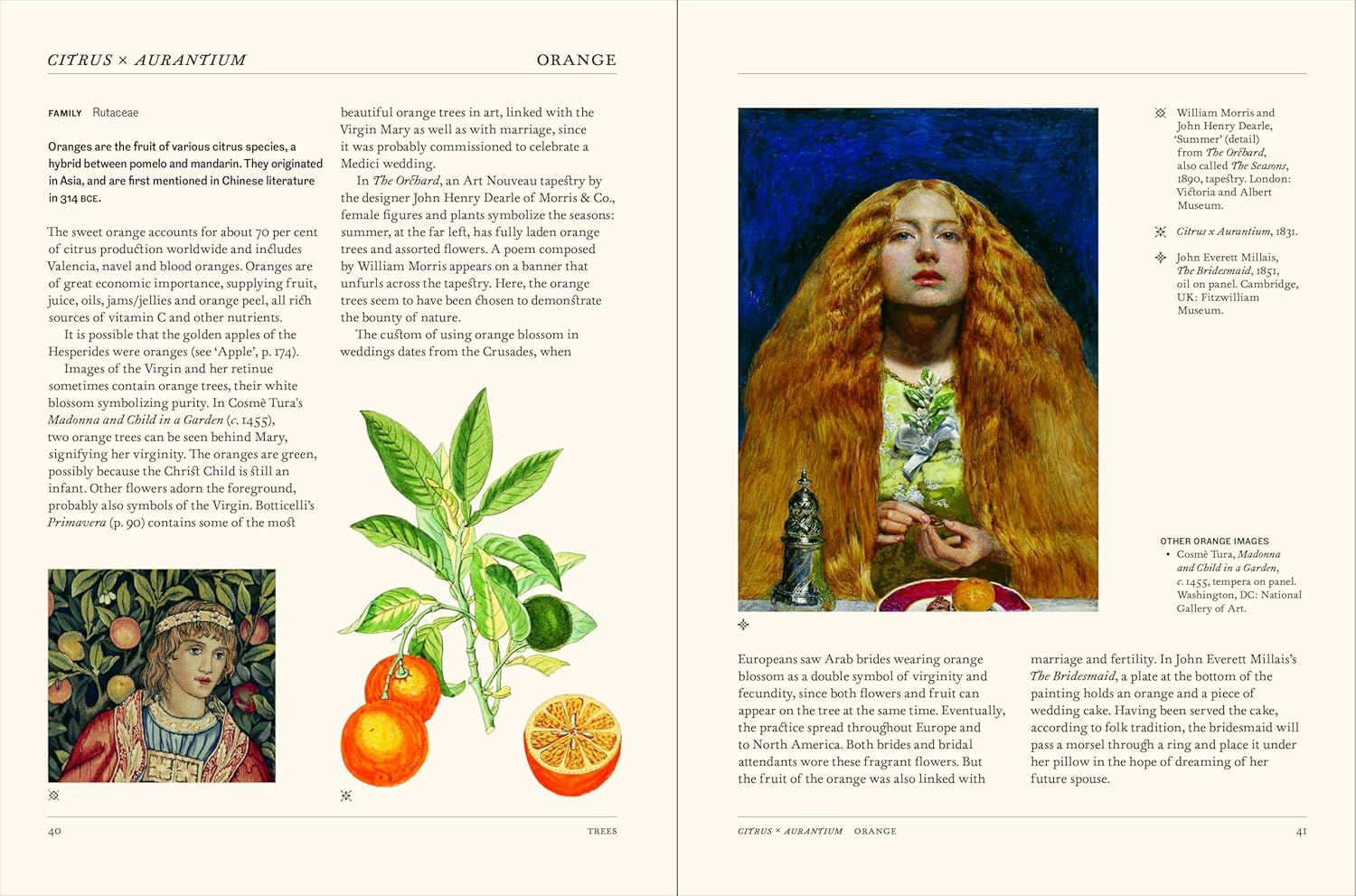  Thames Hudson The Secret Language of Plants Art, Nature Symbolism anglais. 