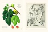  Thames Hudson The Secret Language of Plants Art, Nature Symbolism anglais. 