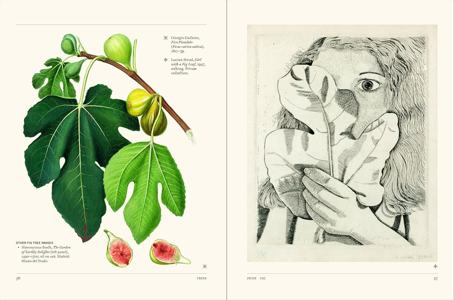  Thames Hudson The Secret Language of Plants Art, Nature Symbolism anglais. 