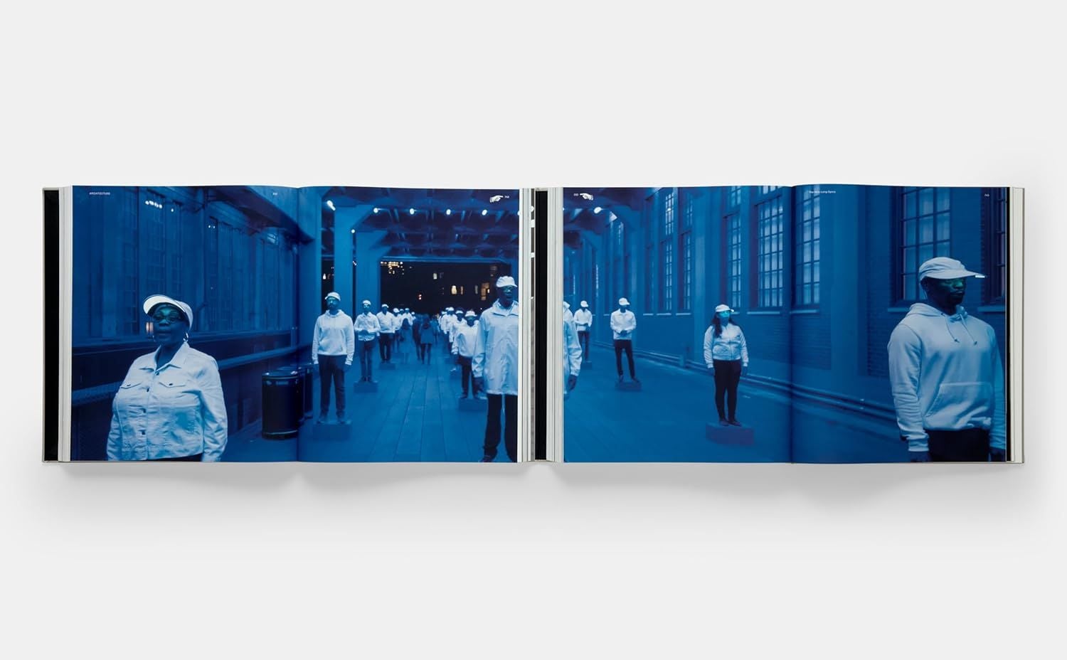  Architecture, Not Architecture: Diller Scofidio + Renfro 