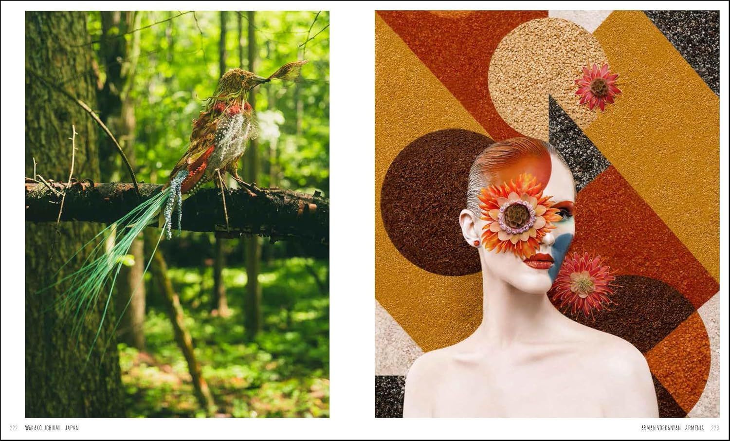  International Floral Art 2024-2025 