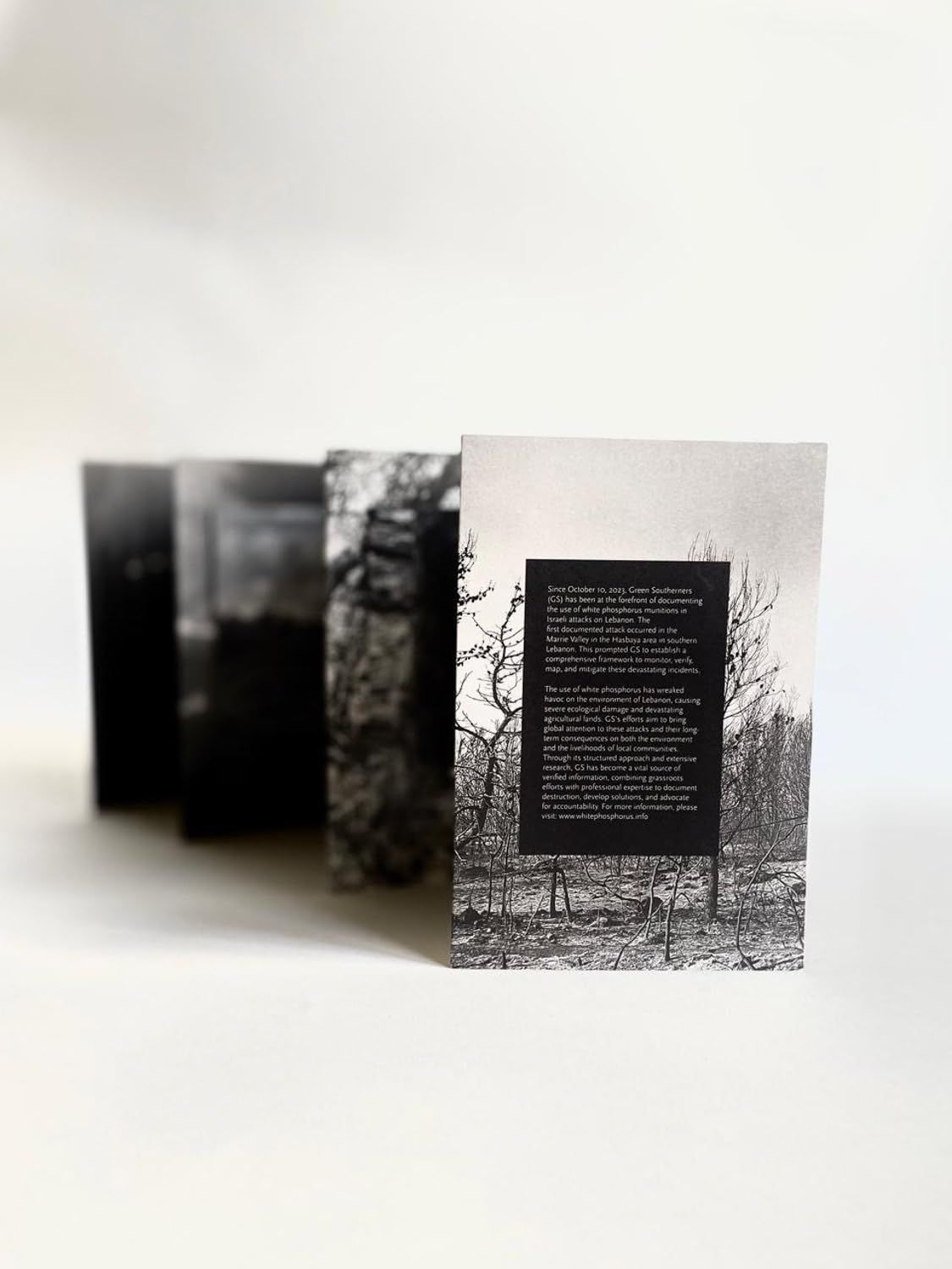  The Land Remembers: A Collective Exploration into the Possibilities for Regeneration 