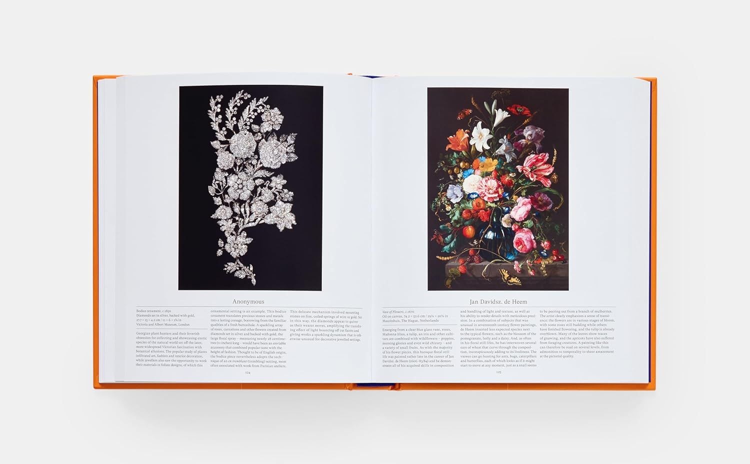  Flower: Exploring the World in Bloom 
