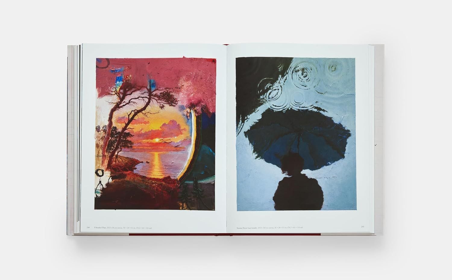  Friedrich Kunath: The Grand Tour 