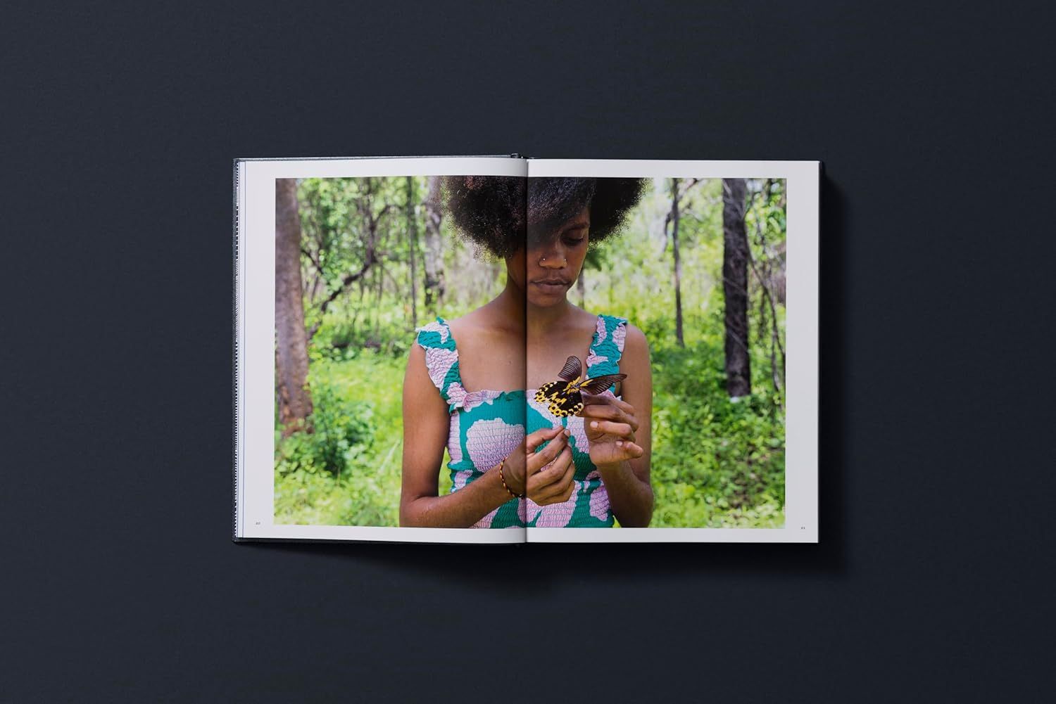  65,000 Years: A Short History of Australian Art 