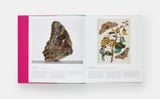  Butterfly: Exploring the World of Lepidoptera 