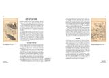 An Illustrated Mirror of Hawking: The Ehon Taka Kagami 