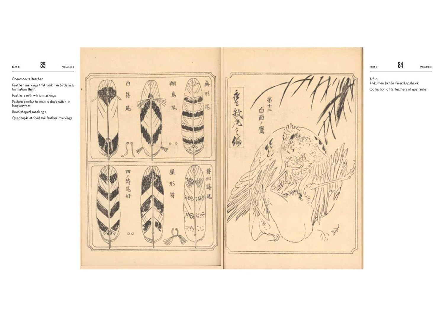  An Illustrated Mirror of Hawking: The Ehon Taka Kagami 