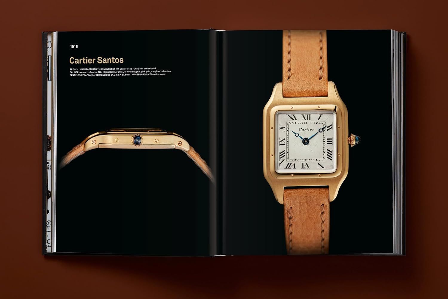  Ultimate Collector Watches 