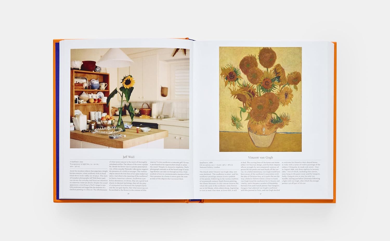  Flower: Exploring the World in Bloom 