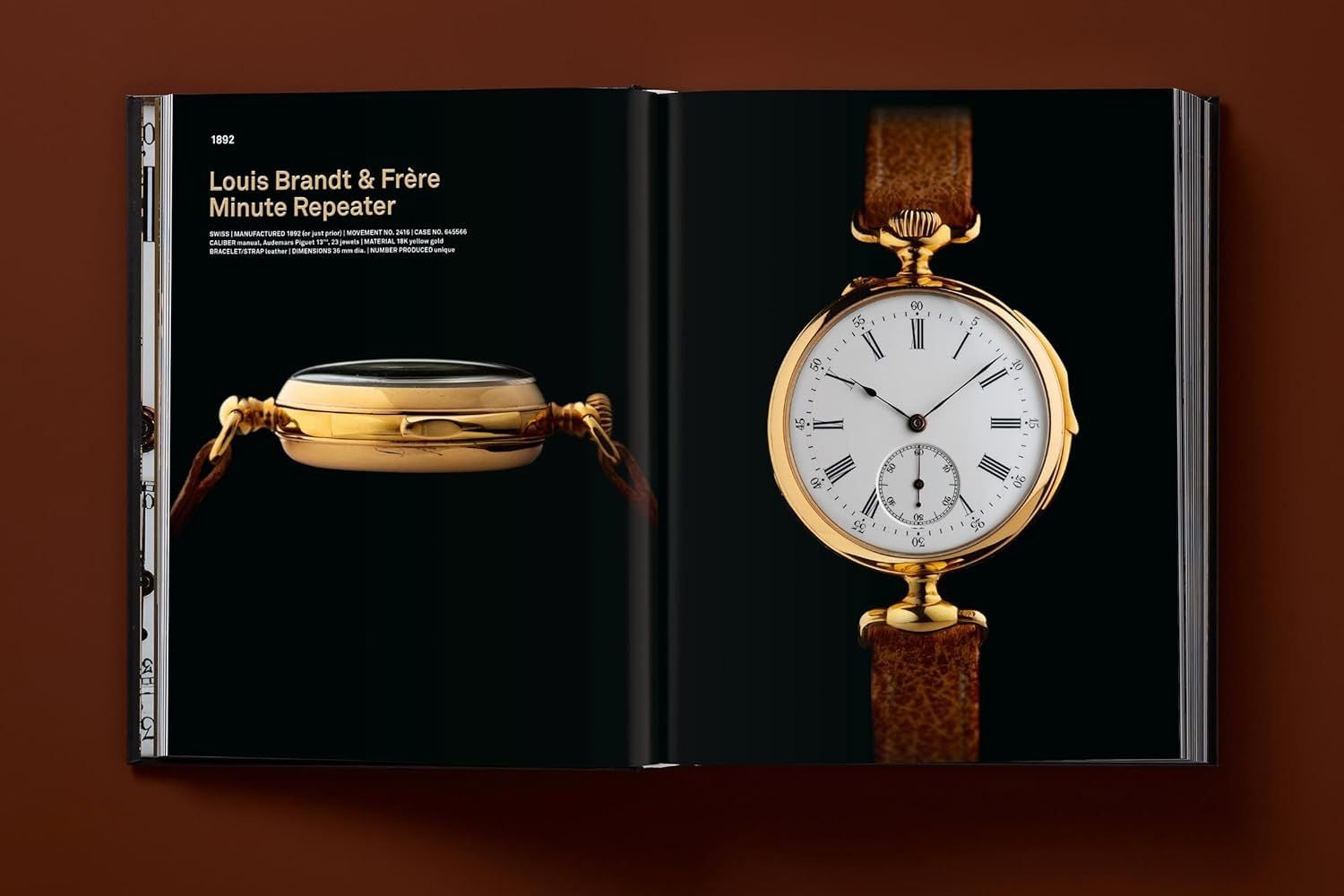  Ultimate Collector Watches 