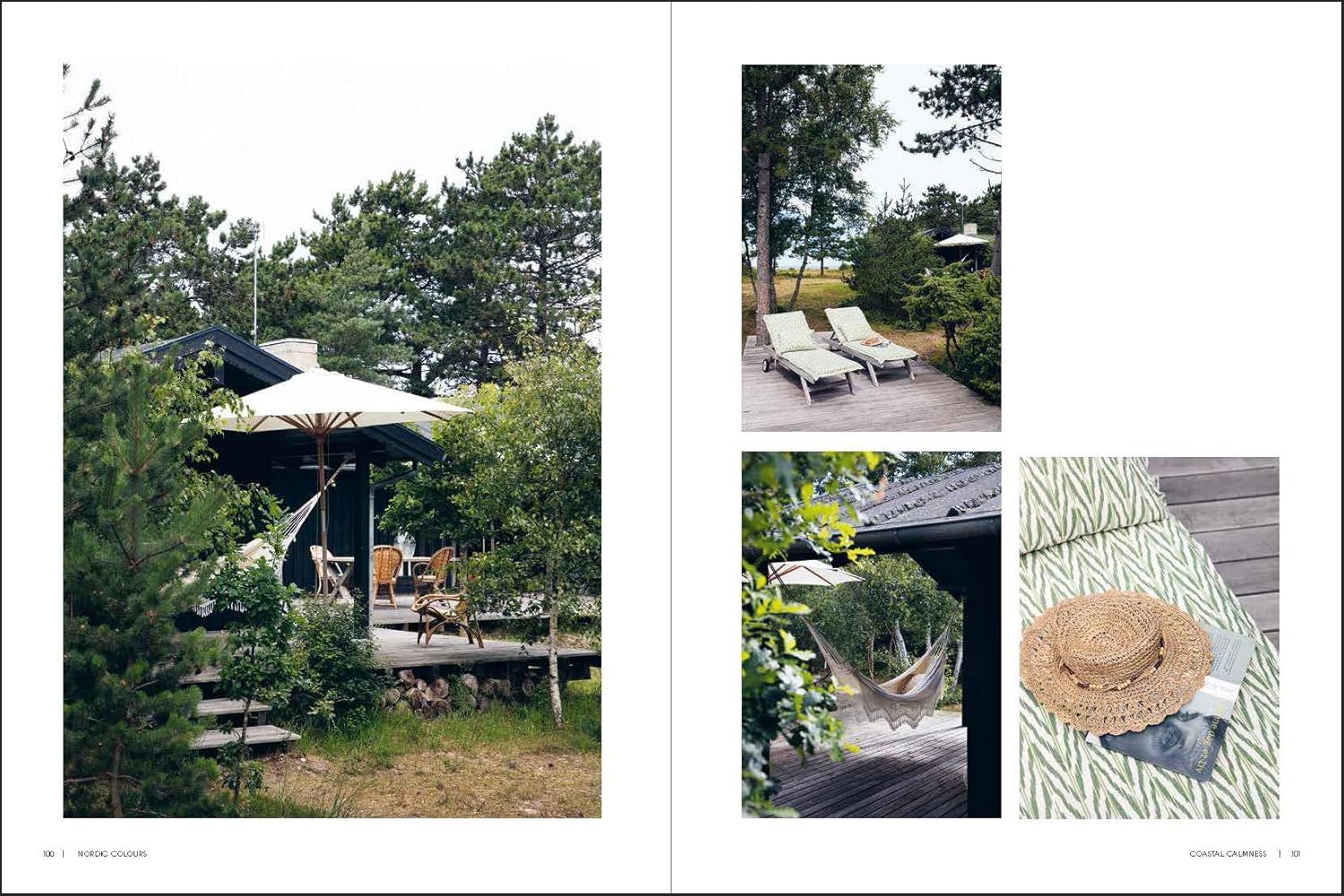  Nordic Colours: How to create interior moods (Nordic Interiors) 