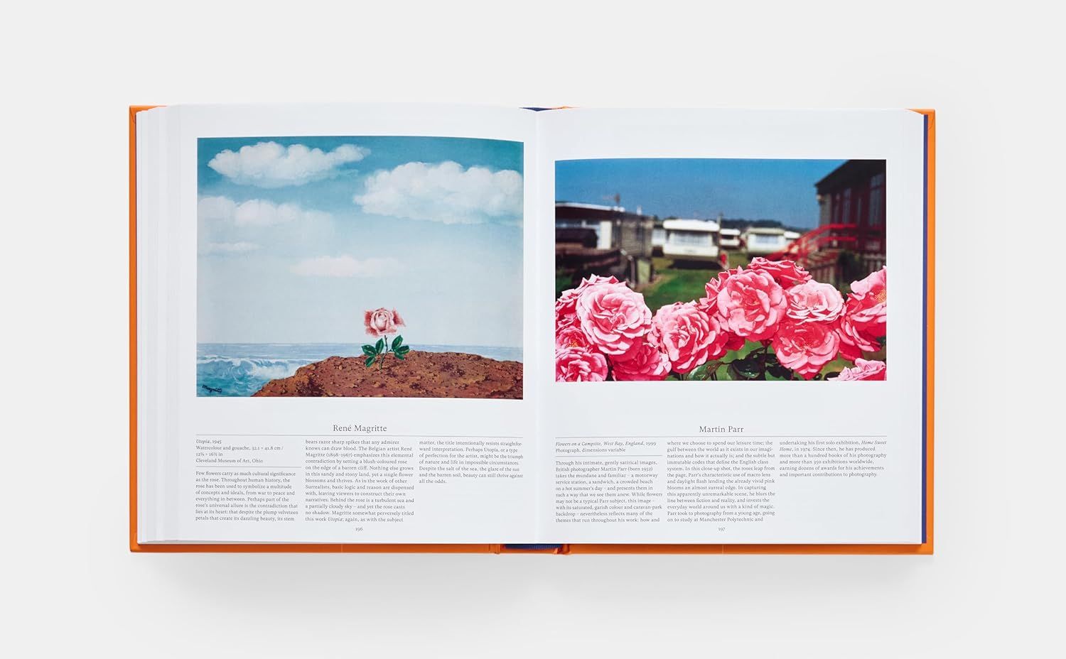  Flower: Exploring the World in Bloom 