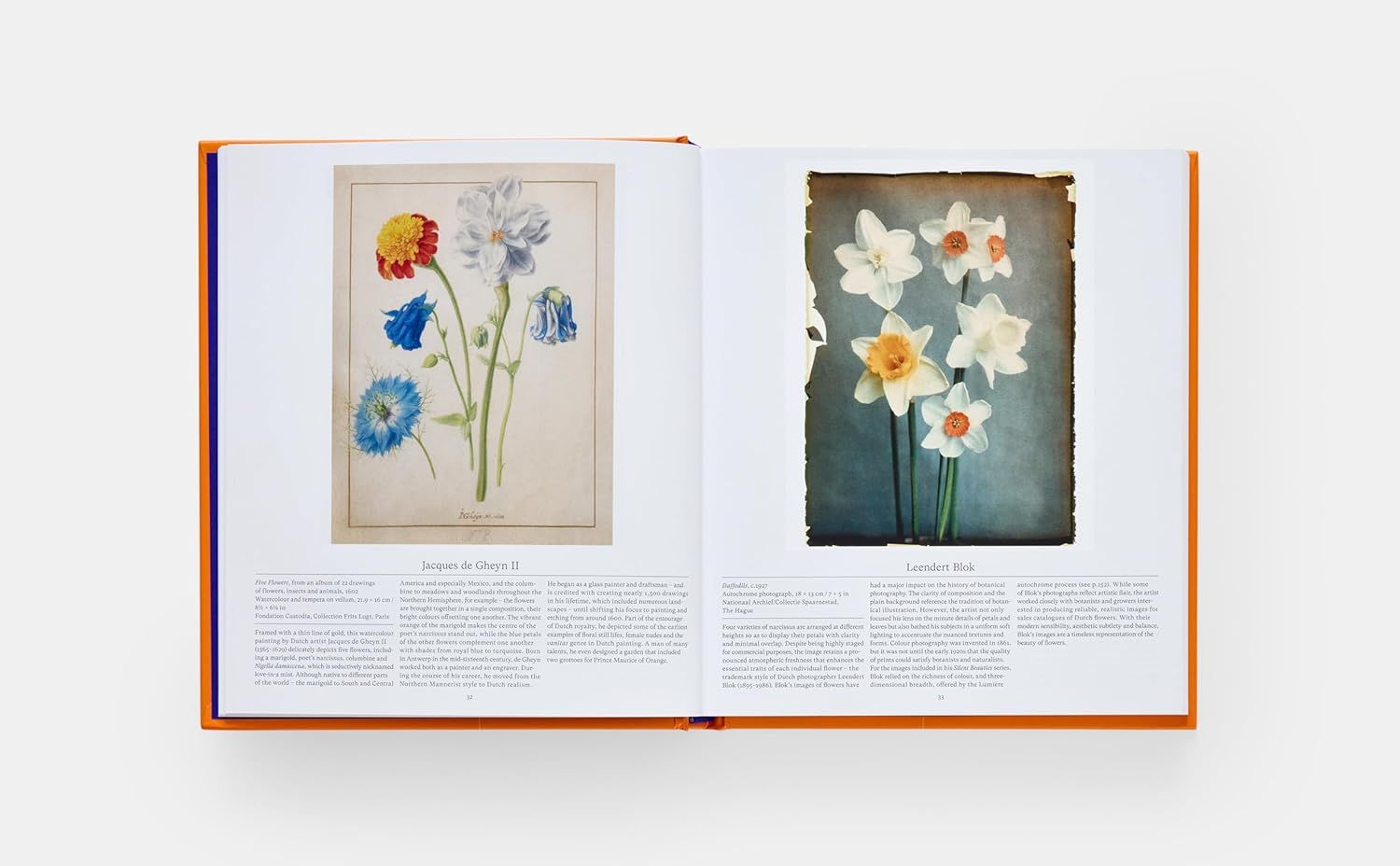  Flower: Exploring the World in Bloom 