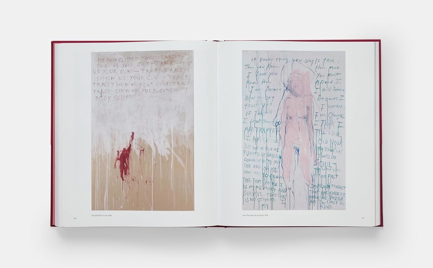  Tracey Emin Paintings 