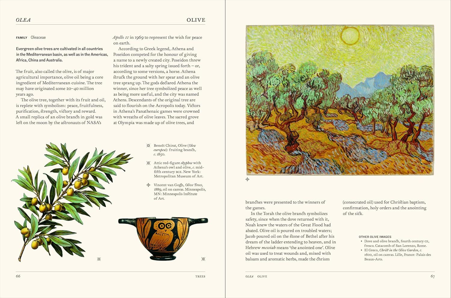  Thames Hudson The Secret Language of Plants Art, Nature Symbolism anglais. 
