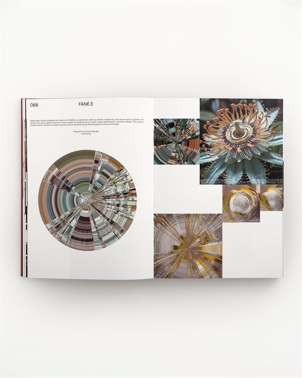  Code Crafted: Generative Design in Branding 