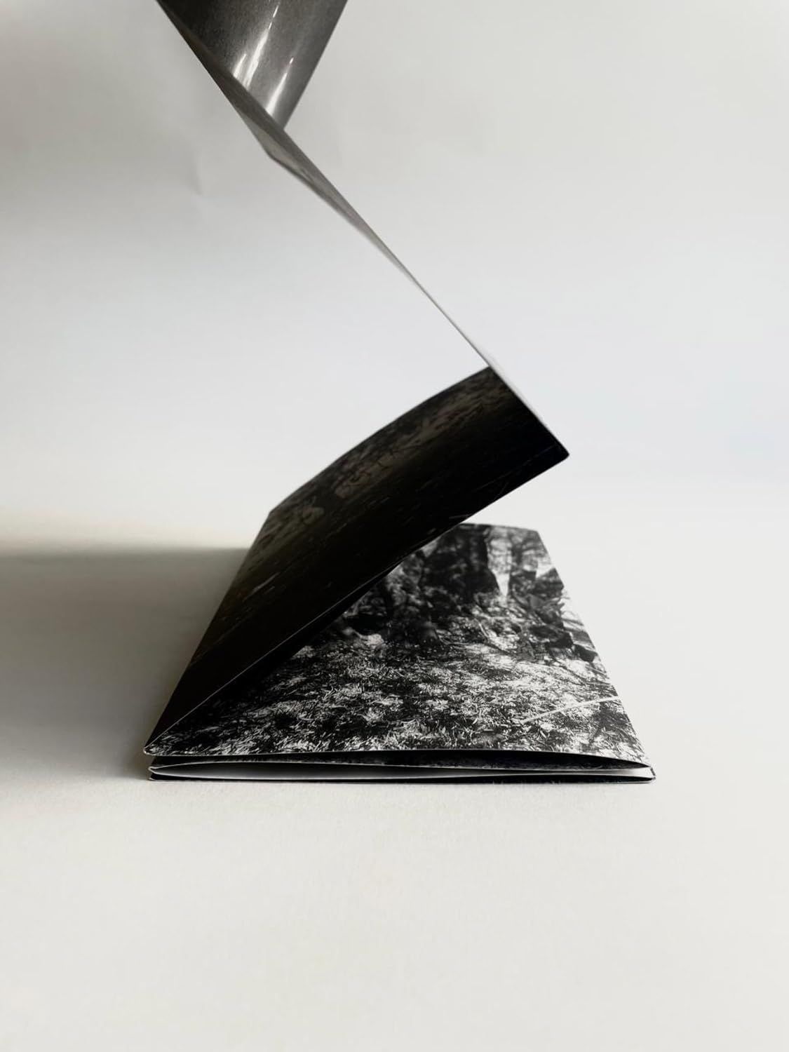  The Land Remembers: A Collective Exploration into the Possibilities for Regeneration 