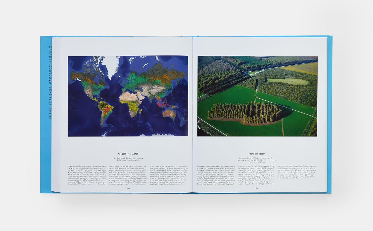  Tree: Exploring the Arboreal World 