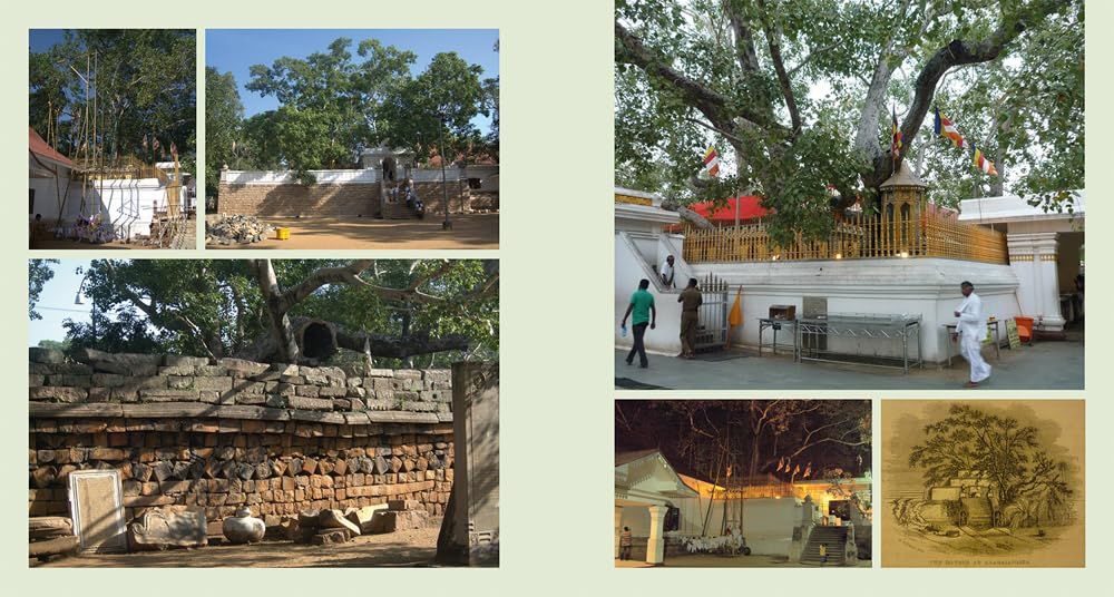  Gardens of Sri Lanka 