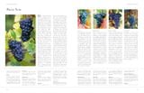  Wine from Grape to Glass: The Wines of the World and how they are Made 