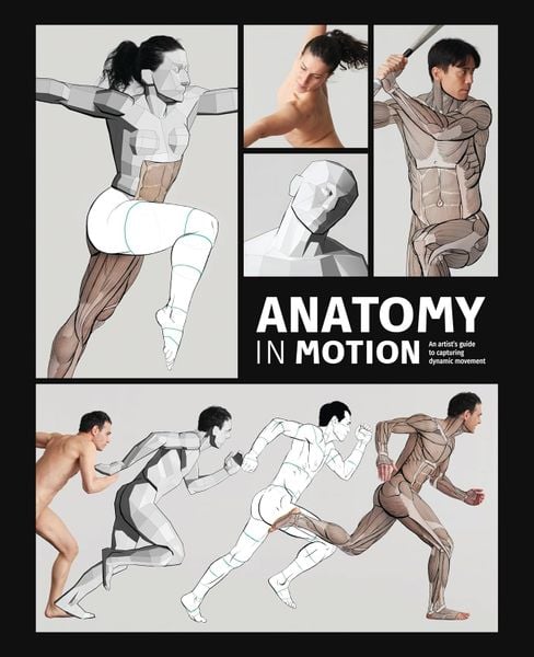 Anatomy in Motion: An artist’s guide to capturing dynamic movement