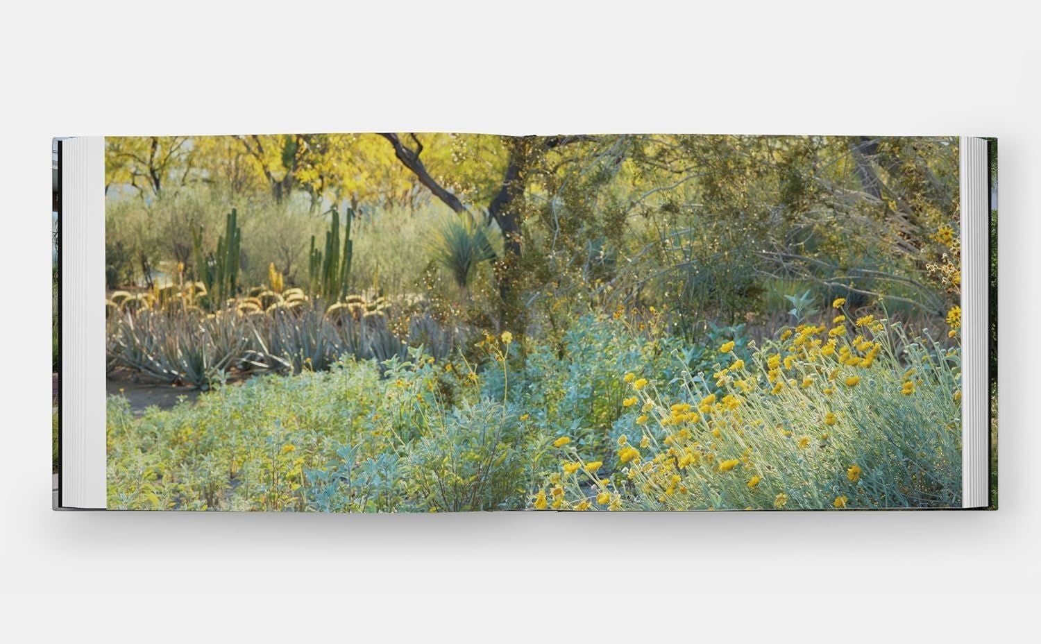  Envisioning Landscapes: The Transformative Environments of OJB 