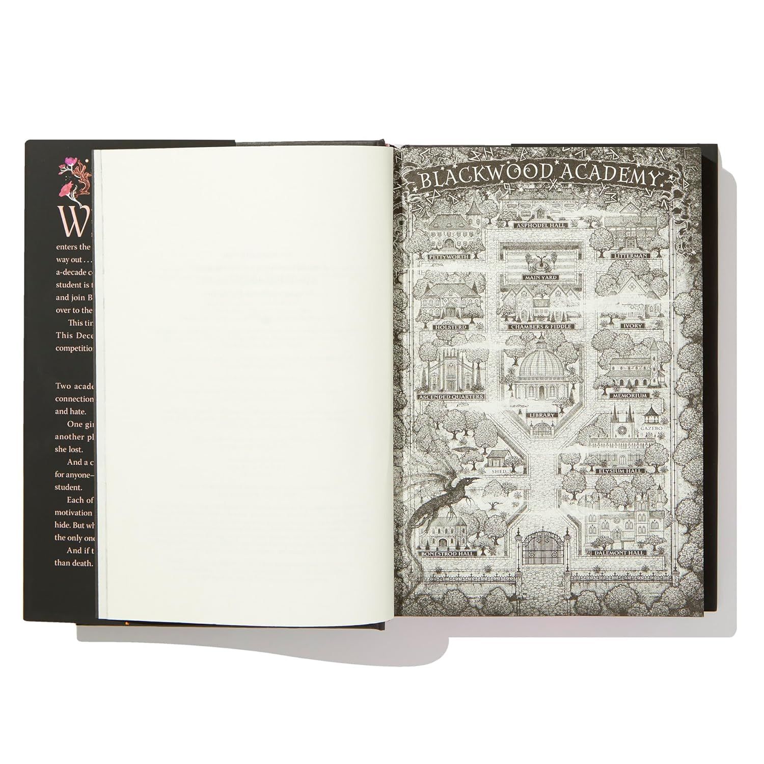  Immortal Consequences: A Good Morning America YA Book Club Pick (The Souls of Blackwood Academy) 