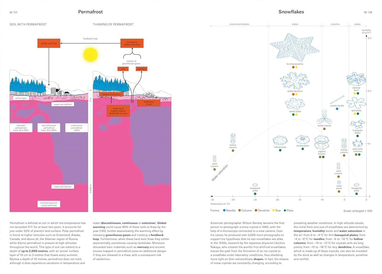  Phenomena: An Infographic Guide to Almost Everything 
