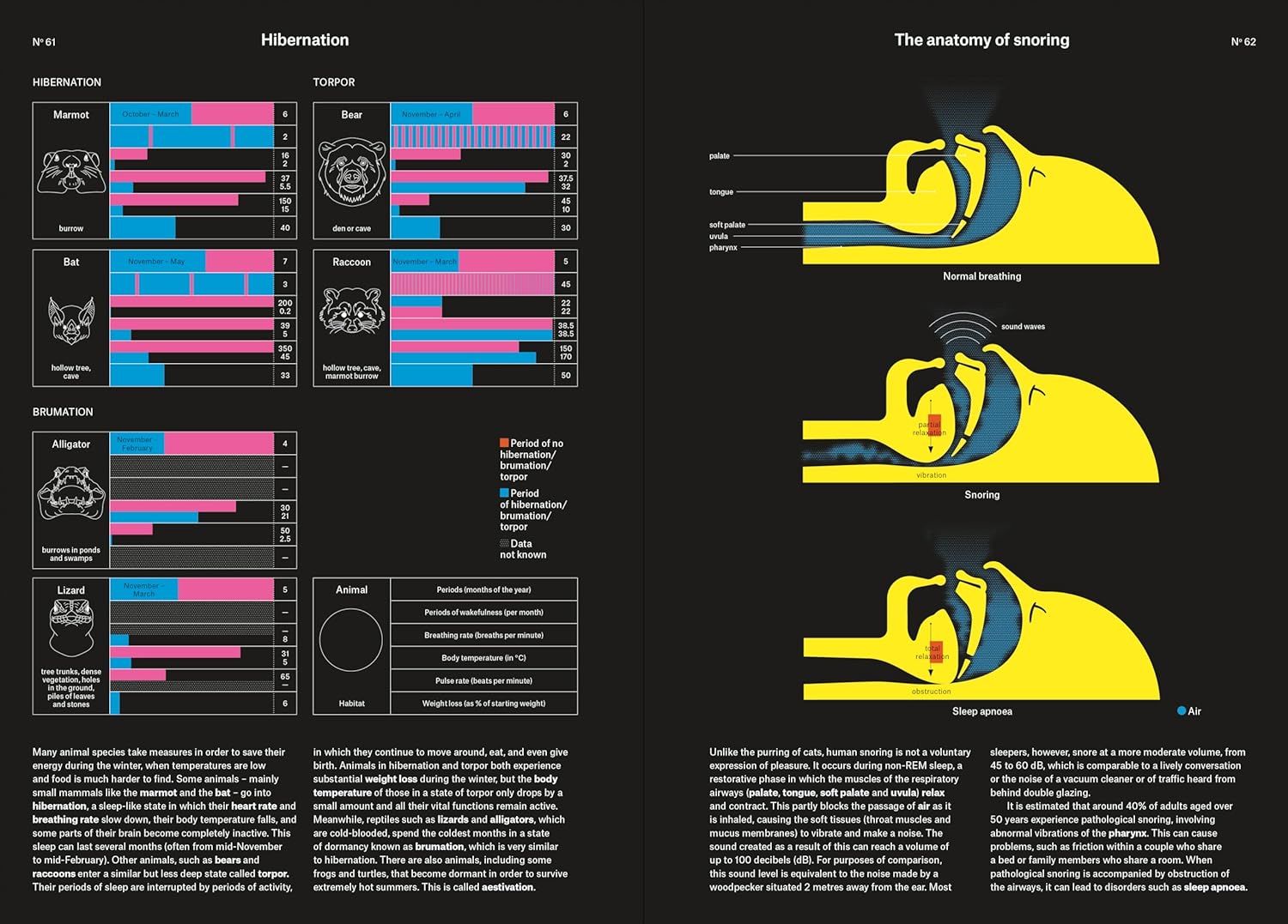  Phenomena: An Infographic Guide to Almost Everything 